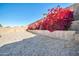 Backyard with gravel and vibrant bougainvillea at 19847 N 108Th Ave, Peoria, AZ 85373