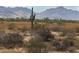 Vast desert landscape with cacti, mountains, and scrub brush at 22034 N 59Th Pl, Phoenix, AZ 85054