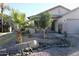 Landscaped front yard with palm trees and drought-tolerant plants at 22233 N 76Th Dr, Peoria, AZ 85383