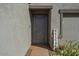 Inviting front entrance with metal security door at 25587 N Boreas Rd, Florence, AZ 85132