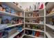 Well-stocked pantry with ample shelving for storage at 2925 E Tonto Dr, Gilbert, AZ 85298