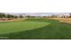 Golf course putting green at 4655 E Indigo St, Gilbert, AZ 85298