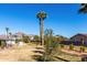 Large backyard with palm trees and mountain views at 5331 E Virginia Ave, Phoenix, AZ 85008