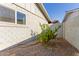 Small backyard with lemon tree and gravel at 8435 E Catalina Dr, Scottsdale, AZ 85251