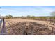 Spacious riding arena with sand surface and mountain views at 14705 E Redbird Rd, Scottsdale, AZ 85262