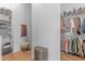 Bright walk-in closet featuring custom shelving and hanging areas at 31023 N 117Th Dr, Peoria, AZ 85383