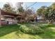 Large backyard with grass, trees, and patio furniture at 3601 W Solano Dr, Phoenix, AZ 85019