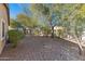 Landscaped backyard with gravel, mature trees, and desert plants at 3766 W Jacksonville Dr, Anthem, AZ 85086