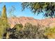 Desert landscape with mountain views in background at 6592 E Casa De Leon Ln, Gold Canyon, AZ 85118