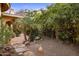 Landscaped courtyard with flagstone path and bamboo plants at 66 Biltmore Est, Phoenix, AZ 85016