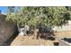 Backyard view with a large tree and AC unit at 7702 W Glenrosa Ave, Phoenix, AZ 85033