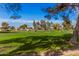 Partial view of a lush green golf course at 9245 N 109Th Dr, Sun City, AZ 85351