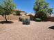 Backyard with gravel, desert plants and block wall at 11432 E Quicksilver Ave, Mesa, AZ 85212