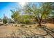 Landscaped yard with trees and desert plants at 1471 E 22Nd Ave, Apache Junction, AZ 85119