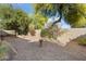 Spacious backyard with gravel landscaping and mature trees at 17713 N Larkspur Ln, Surprise, AZ 85374