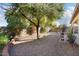 Large backyard with mature trees and gravel landscaping at 17713 N Larkspur Ln, Surprise, AZ 85374