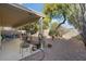 Relaxing backyard with covered patio, gravel landscaping, and mature trees at 17713 N Larkspur Ln, Surprise, AZ 85374