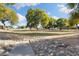 Community green space with mature trees and walkways at 17713 N Larkspur Ln, Surprise, AZ 85374