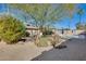 Landscaped backyard with mature trees and gravel at 3343 E Anderson Dr, Phoenix, AZ 85032