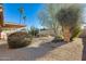 Landscaped backyard with desert plants and gravel at 3343 E Anderson Dr, Phoenix, AZ 85032