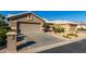 Tan house with cacti and gravel landscaping at 3832 N 162Nd Ln, Goodyear, AZ 85395