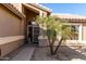 Front door with security door and potted plant at 3832 N 162Nd Ln, Goodyear, AZ 85395