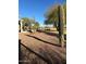 Desert landscaping with saguaro cacti and trees at 6307 S Palo Blanco Dr, Gold Canyon, AZ 85118