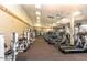 Community fitness center with various cardio and strength equipment at 6307 S Palo Blanco Dr, Gold Canyon, AZ 85118