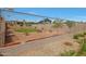 Community grassy backyard area with trees at 6318 N 19Th St, Phoenix, AZ 85016