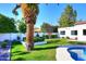 Expansive grassy backyard, featuring a mature palm tree and a swimming pool at 9789 E Cinnabar Ave, Scottsdale, AZ 85258