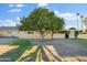 Backyard features a large orange tree providing shade at 9802 N Balboa Dr, Sun City, AZ 85351