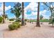 Landscaped backyard with mature plants and a view of the golf course at 10009 E Michigan Ave, Sun Lakes, AZ 85248