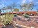 Single story home with desert landscaping at 215 E Marconi Ave, Phoenix, AZ 85022