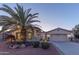 Single-story home with desert landscaping, large palm tree, and two-car garage at 3604 N 162Nd Ave, Goodyear, AZ 85395