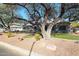 Single-story home with desert landscaping and mature trees at 5432 W Fallen Leaf Ln, Glendale, AZ 85310