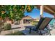 Relaxing backyard oasis with citrus trees, patio furniture, and a tranquil atmosphere at 6562 S Sawgrass Dr, Chandler, AZ 85249