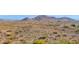 Scenic desert landscape view with a mountain backdrop and a neighborhood in the distance at 914 E Ross Ave, Phoenix, AZ 85024