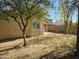 Backyard with mature trees and grassy area at 1244 S Portland Ave, Gilbert, AZ 85296