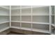 Large walk-in pantry with adjustable shelving at 2732 N 217Th Ave, Buckeye, AZ 85396