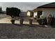 Landscaped side yard with decorative pots and lion statue at 5929 E Duncan St, Mesa, AZ 85205