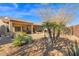 Landscaped backyard with a covered patio and desert landscaping at 6825 S Whetstone Pl, Chandler, AZ 85249