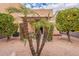 Backyard patio with pergola, potted plants, and palm trees at 7019 W Mcmahon Way, Peoria, AZ 85345