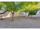 Spacious backyard with gravel and mature trees at 7132 W Villa Chula --, Glendale, AZ 85310