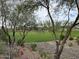 Landscaped backyard with grassy area and desert landscaping at 7689 W Smoketree Dr, Peoria, AZ 85383