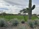 View of grassy area, desert plants, and mountain backdrop at 7689 W Smoketree Dr, Peoria, AZ 85383