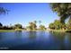 Serene pond surrounded by lush landscaping and homes at 7950 E Camelback Rd # 512, Scottsdale, AZ 85251