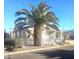 Single story home with a palm tree in the front yard at 2400 E Baseline Ave # 282, Apache Junction, AZ 85119