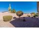 Landscaped backyard with gravel, shrubs, and a cactus at 3056 E Palm Beach Dr, Chandler, AZ 85249