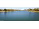 Serene lake view with green spaces and trees at 3082 E Jade Ct, Chandler, AZ 85286