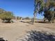 Large backyard with trees and a partially-fenced area at 51989 W Esch Trl, Maricopa, AZ 85139